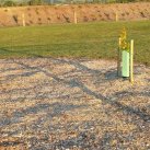 2015.11.26 Small trees. Expressway planting behind. Cambridge Tree Trust